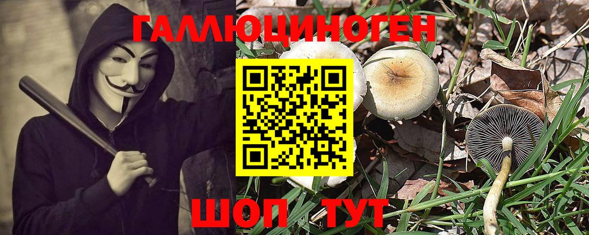 Нягань  Галлюциногенные грибы Psilocybe  Вход с VPN 