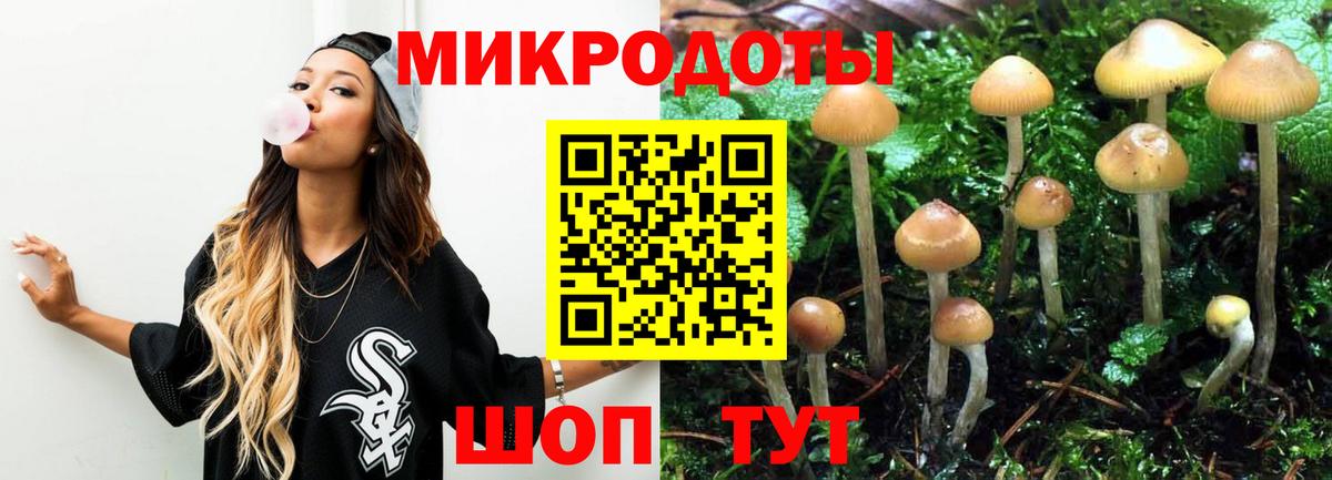 Галлюциногенные грибы Psilocybe Нягань
