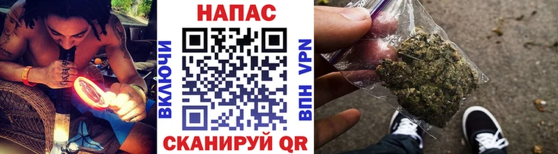 Конопля гибрид Нягань